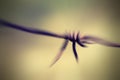 Abstract barbed wire. Royalty Free Stock Photo