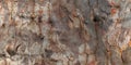 Abstract of the bark of an Australian Gum Tree. Royalty Free Stock Photo