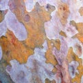 Abstract bark Landscape, Oil Painting Style