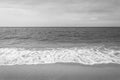Abstract beach background. tropical beach landscape.Exotic nature concept black and white Royalty Free Stock Photo