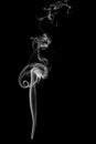 Abstract beautiful art. White smoke from the incense isolated on Royalty Free Stock Photo