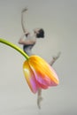 Beautiful Ballerina Dancing Wearing Skirt from Tulip Flower