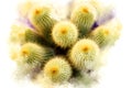 Abstract Beautiful cactus flower watercolor painting