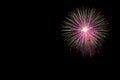 Abstract beautiful colorful fireworks display for celebratio Royalty Free Stock Photo