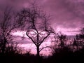 Abstract and beautiful love tree