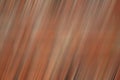 Abstract background, vertical multicolored stripes of brown scale with a slope in lion and blur in the middle