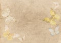 Abstract beige watercolor background with butterflies. Watercolor background for invitations, cards, posters. Texture, abstract Royalty Free Stock Photo