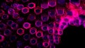Abstract bending field of pink hexagons rotating and forming a spiral. Animation. Contrasting curving texture of glowing