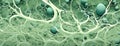 Abstract Biomimetic Pattern with Green Spherical Structures