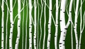 Abstract birch stems background Royalty Free Stock Photo