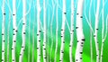 Abstract birch stems background Royalty Free Stock Photo