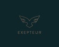 Abstract bird logo design. Creative eagle symbol. Luxury falcon hawk logotype.