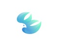 Abstract bird premium logo icon design modern minimal style illustration. Eagle falcon hawk vector emblem sign symbol Royalty Free Stock Photo