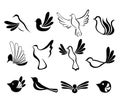 Abstract bird symbol set