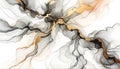 Abstract Black Alcohol Ink with Gold Streak on White Background. Elegant Liquid Painting Texture