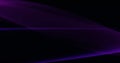 Abstract black background with dynamic purple lilac 3d lines.