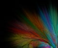 Abstract black background with rainbow flower or rays in corner Royalty Free Stock Photo