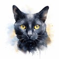 Abstract black cat digital watercolor ink illustration Royalty Free Stock Photo