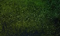 Abstract black dark green color mixture multi colors effects wall texture Background. Royalty Free Stock Photo