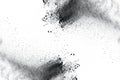 Abstract black dust explosion on white background. Royalty Free Stock Photo