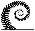 Abstract black fern spiral design for decoration and design elements Royalty Free Stock Photo