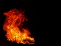 Abstract black flame flame texture. Royalty Free Stock Photo