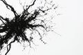 Abstract Black Ink Explosion Art Royalty Free Stock Photo