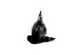Abstract black ink Like a picture of a person meditating or a Buddha image
