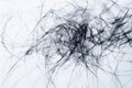 Abstract Black Ink Lines on White Background Creating Dynamic and Chaotic Artistic Pattern Royalty Free Stock Photo