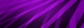 Abstract black and purple background, stripes of diagonal slanted lines in abstract ribbons in layers, geometric pattern design