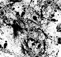 Abstract black splatters Royalty Free Stock Photo