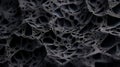 Abstract Black Texture Image With Cellular Formations And Lush Detailing