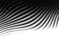 Abstract black and white background, imitation of a zebra. Royalty Free Stock Photo