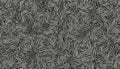 Abstract black and white background with wave squiggle doodle fingerprint style maze. Monochrome texture pattern with intricate