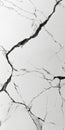 Abstract Black And White Cracked Surface Texture Royalty Free Stock Photo