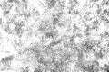 Abstract black and white distress texture. Grunge pattern. Background or overlay effect. Spotted design for vintage wallpaper. Fad Royalty Free Stock Photo