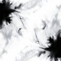 Abstract Black And White Fractal Background Chaotic Environments And Ethereal Foliage