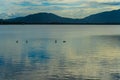 The Abstract black and white image on birds on lake and mountain background