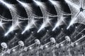 Abstract black and white image of Christmas lights decorations