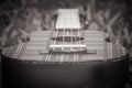 Abstract black and white image close up of musical instrument ukulele guitar on green grass. Royalty Free Stock Photo