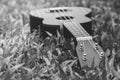 Abstract black and white image close up of musical instrument ukulele guitar on green grass. Royalty Free Stock Photo