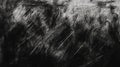 Abstract Black and White Scratched Texture Royalty Free Stock Photo