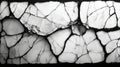 Abstract Black and White Texture of Cracked Marble Surface with Intricate Patterns and Lines Royalty Free Stock Photo