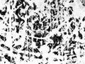 Abstract black and white texture with intricate patterns resembling tangled branches Royalty Free Stock Photo