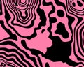 Abstract black and pink topographic contours lines of mountains. Topography map art curve drawing.