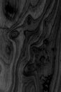 Abstract black wood panel texture background Royalty Free Stock Photo