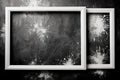 Abstract blank picture frame on grunge wall, black & white background. A.I Royalty Free Stock Photo