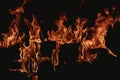 Abstract blaze fire flame texture for banner background. Fire flames on black background. Fire flame texture. Blaze flames Royalty Free Stock Photo