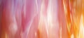 Abstract Blending Pink And Orange Colorful Light Colorful Pattern Gradient Texture Background