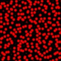 Abstract blood red and black background. Red blood cells Royalty Free Stock Photo